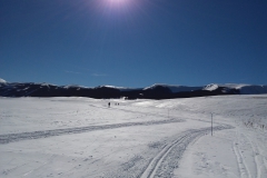 20190216_103959