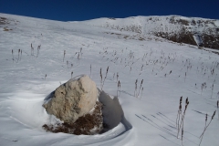 20190216_105335