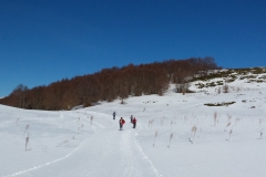 20190216_124702
