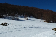 20190216_135150