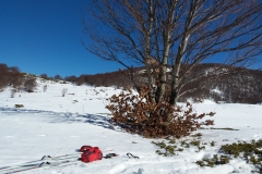 20190216_135246
