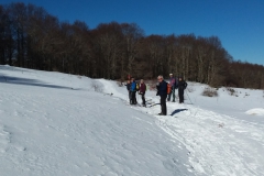 Campo felice 17/2/2019