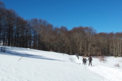 20190217_102825