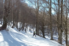 20190217_103245