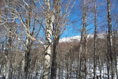 20190217_103751