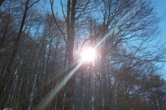 20190217_104318