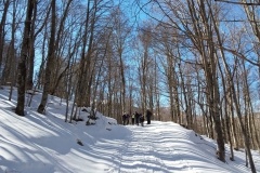 20190217_104750