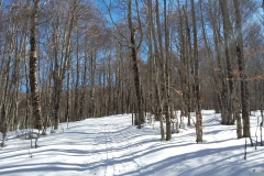 20190217_114713