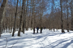 20190217_115140
