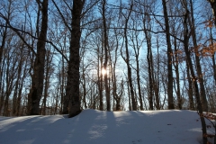 20190217_160048