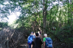 IMG_20230618_105800