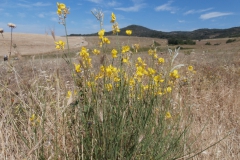 P6170247