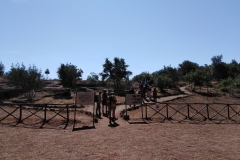 IMG_20220619_101410