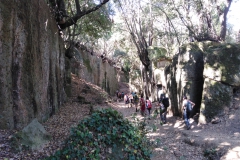 IMG_20220619_104905