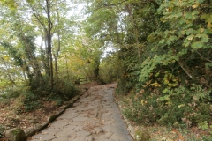 PA185912