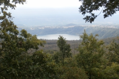 PA185954