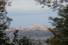 PA233326