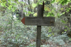 PA233352