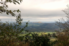 PA233385