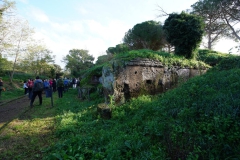 Cerveteri Etrusca 1/12/2019