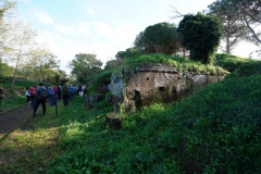 DSC00801
