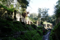 DSC00985