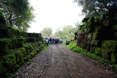 DSC01187