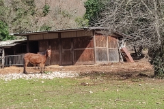 IMG_20240303_124649
