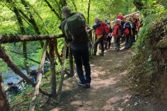 IMG_20230422_100346