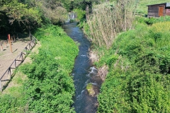 IMG_20230422_103346