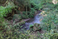 IMG_20230422_105637