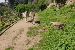 IMG_20230422_115428