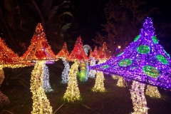 PC093704o