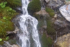 P7120051