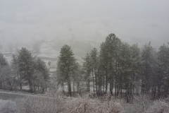 20170305_084848