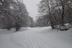 20170305_123149