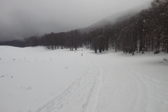 20170305_134421