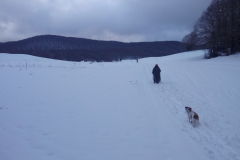 20170305_153420