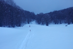 20170305_153422