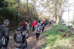 Festa dell\'olio Cerveteri 2018