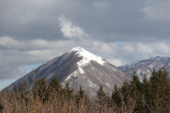 P3061058