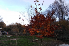 IMG_20221208_152040
