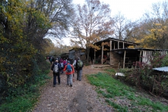 IMG_20221208_152559