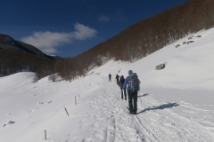 Forca d acero 11022018