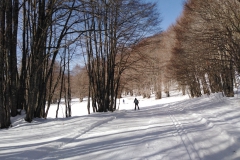 IMG_20230218_120127