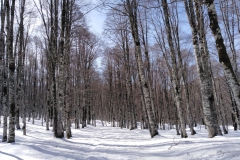 IMG_20230218_122441