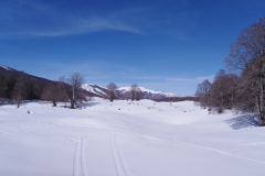 IMG_20230218_124258