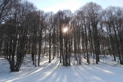 IMG_20230218_150749