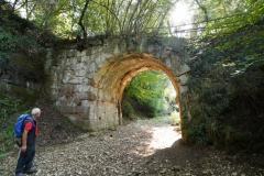 DSC03339