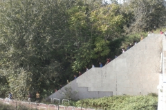 PA093176